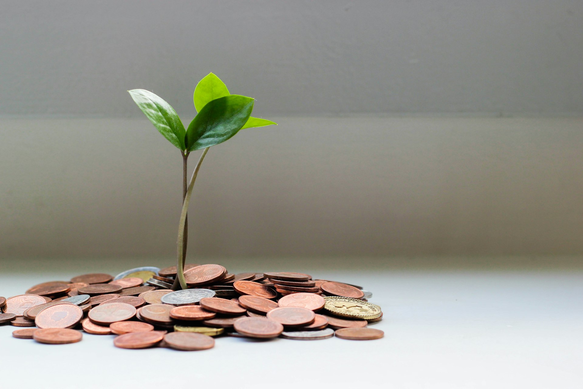 Financing services